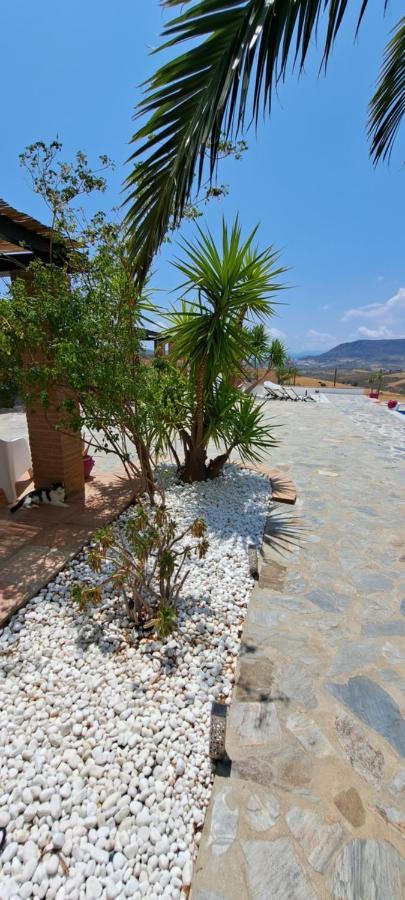 Casa Lore D'or Bed & Breakfast Alora